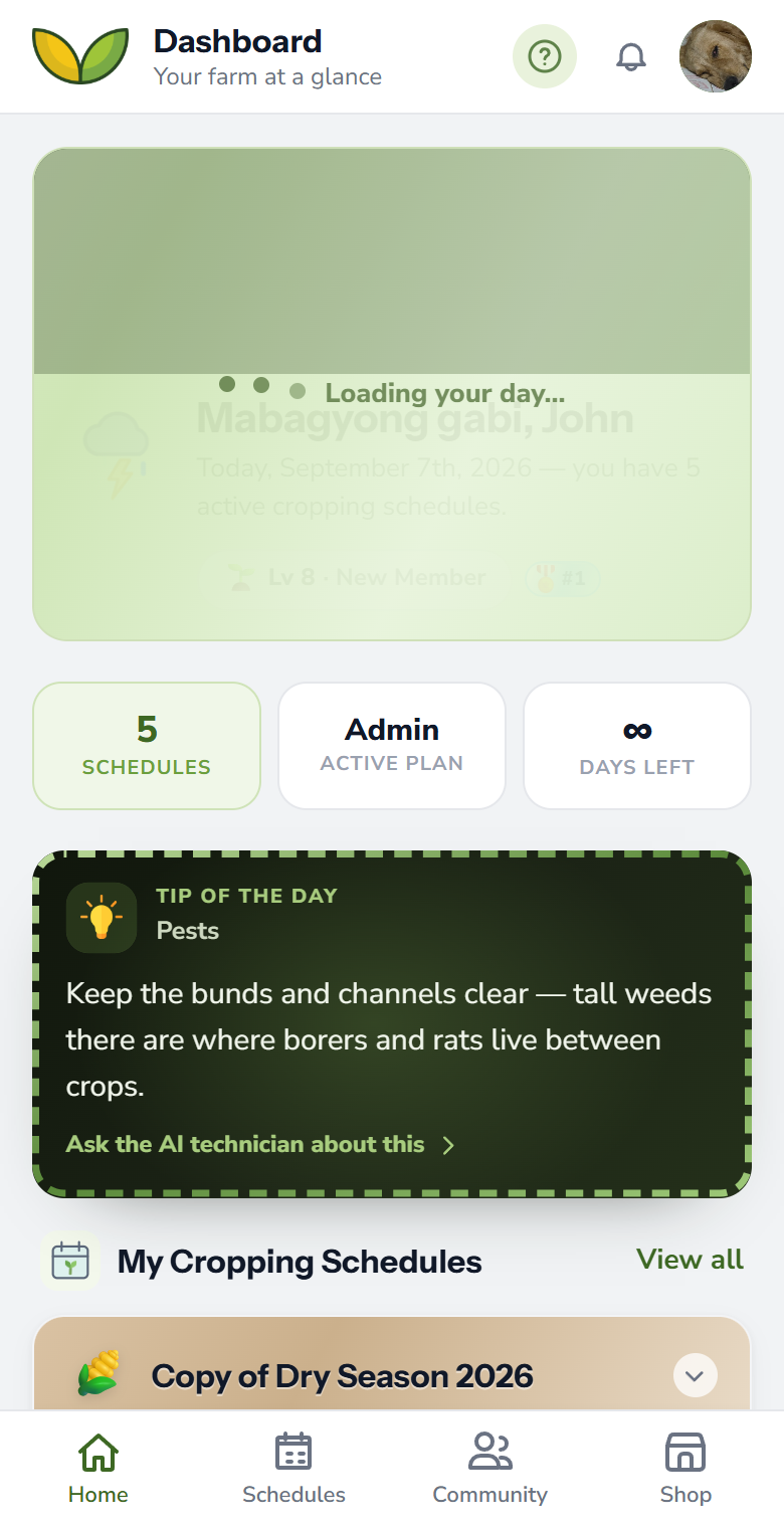 The dashboard with money and season summaries
