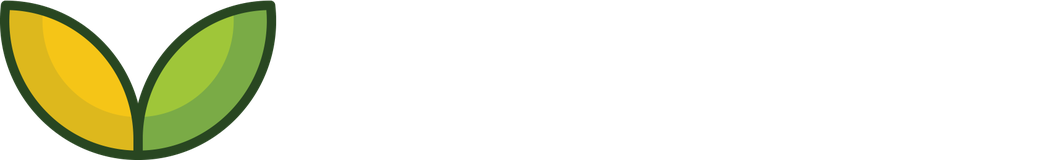 anee.io