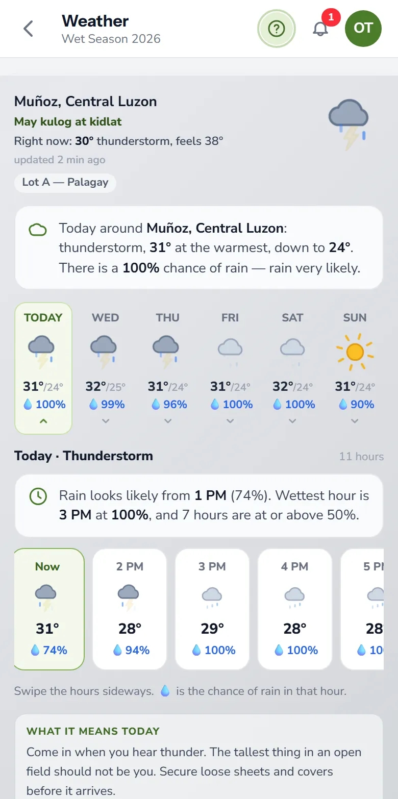 The forecast for a lot in Muñoz: the chance of rain by the day and by the hour