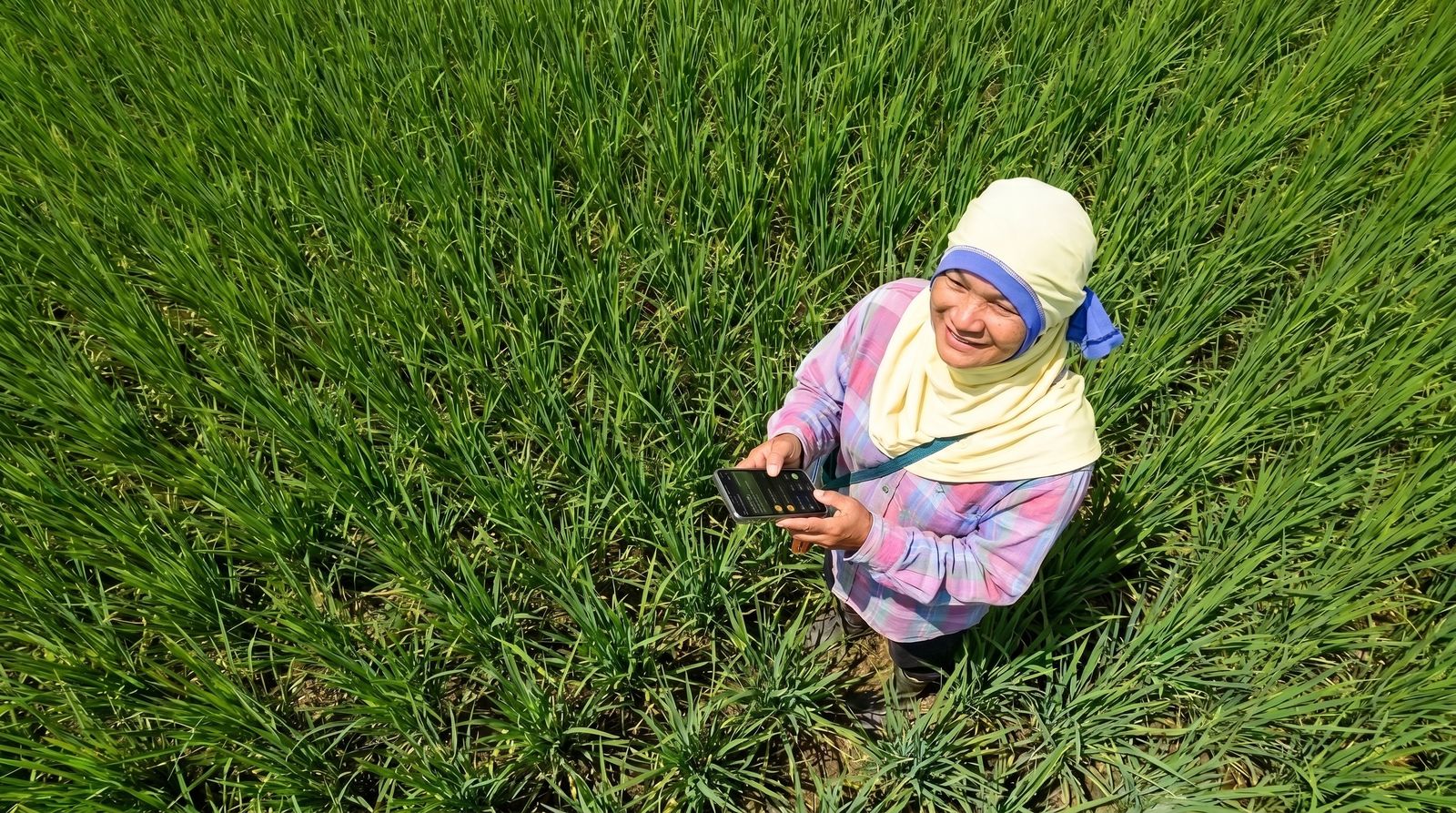 A farmer standing in her rice field, checking the season on anee.io