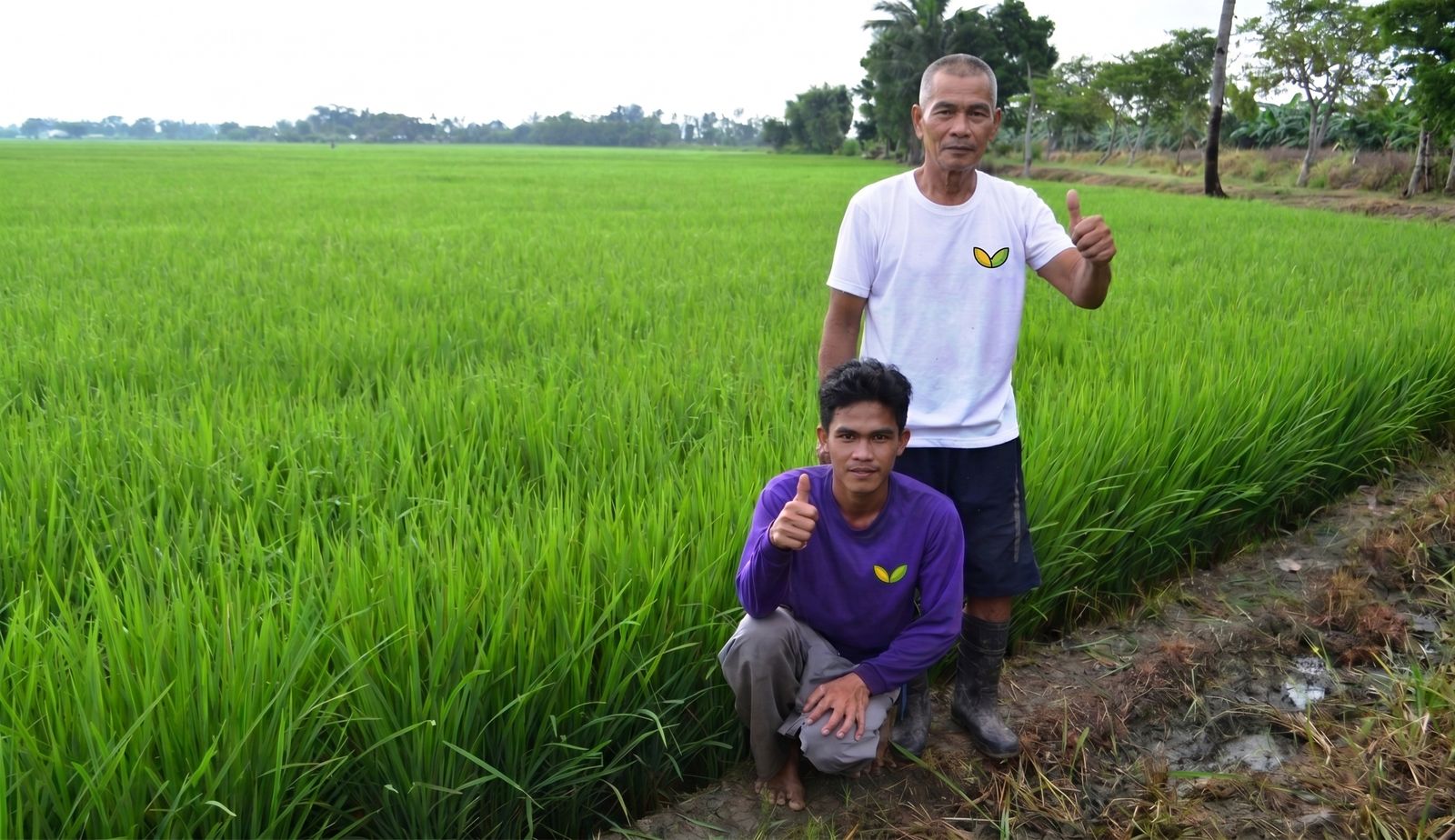 Two farmers giving a thumbs up beside their rice field
